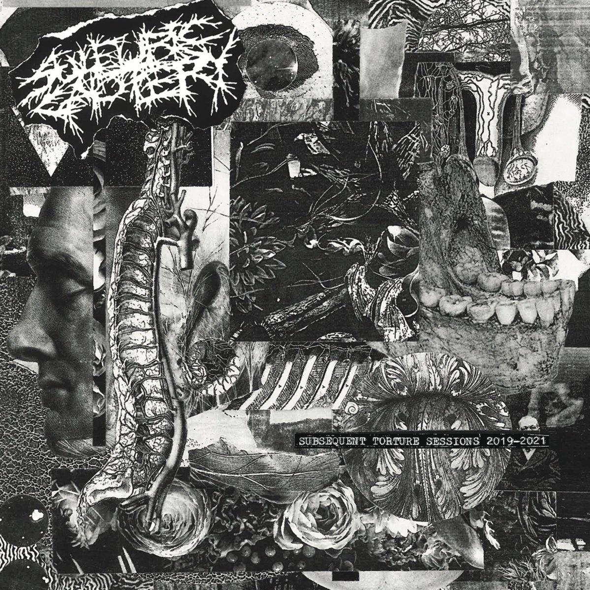 sulfuric-cautery-subsequent-torture-sessions-cd-import-japon-obi image 1