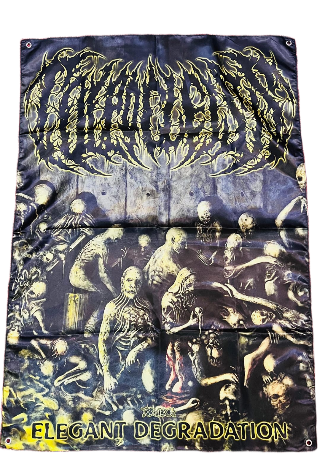 783punx-colpocleisis-elegant-degradation-drapeau-100x70 image 2