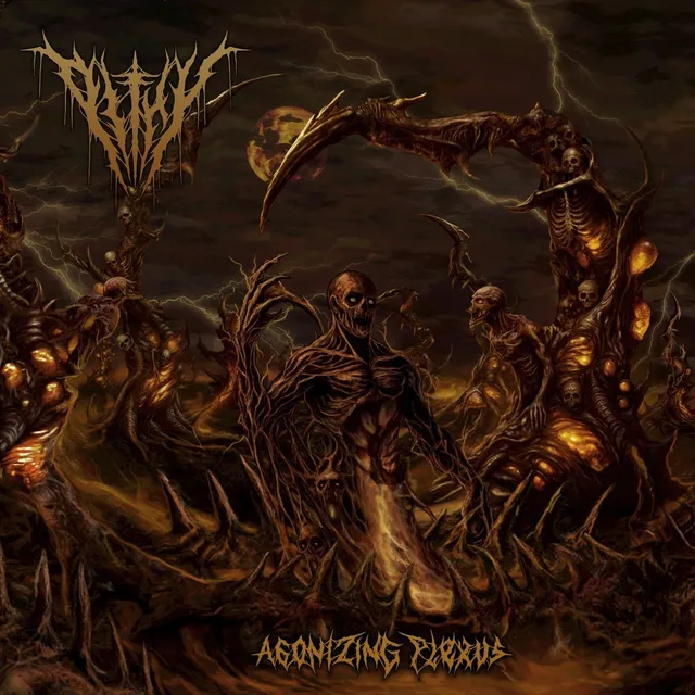 pithy-agonizing-plexus-cd-album-death-metal image 1
