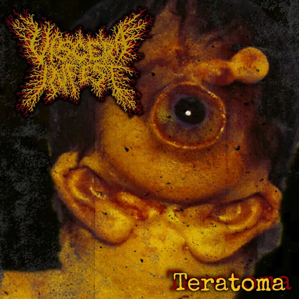 viscera-infest-teratoma-cd-import-japon-bande-obi image 1