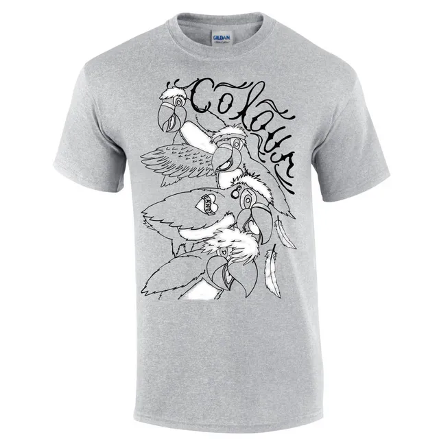 colour-t-shirt-gris-coton-gildan-taille-l-imprim image 1