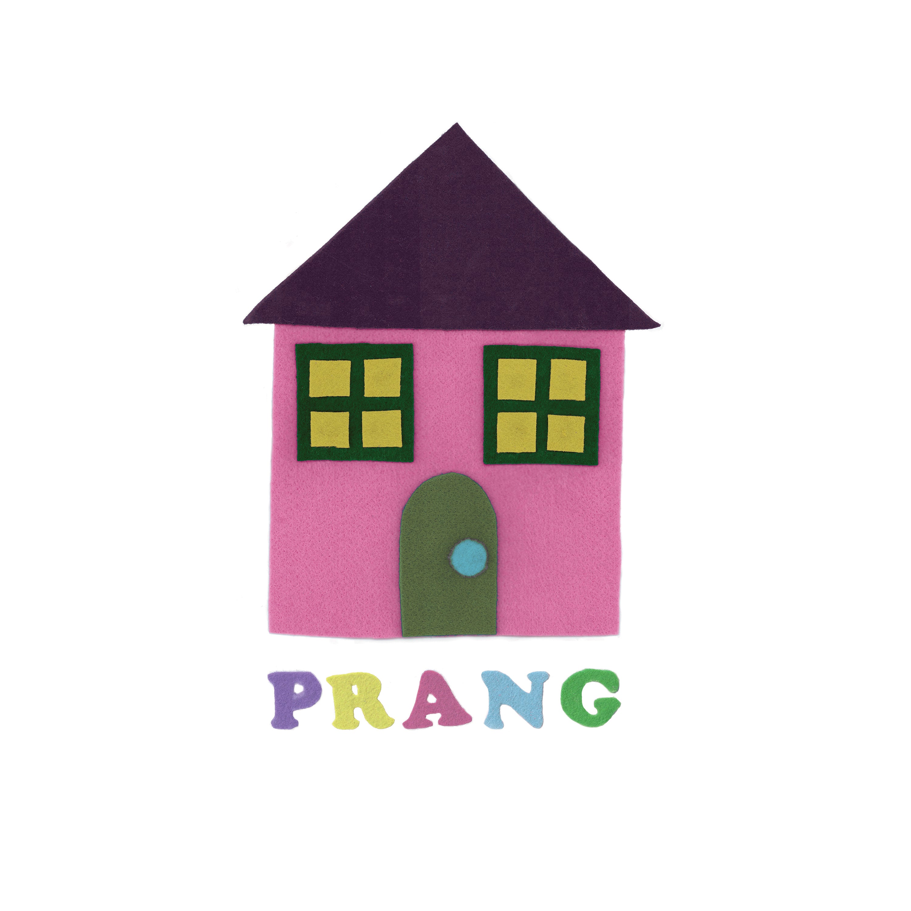 gender-roles-prang-vinyle-lp-noir-punk-uk image 1