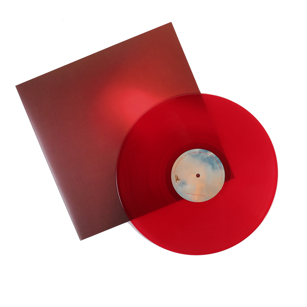 big-scary-monsters-meat-wave-the-incessant-vinyle-noir image 4