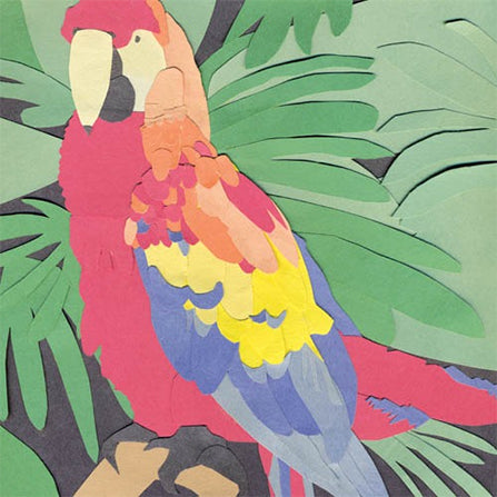 algernon-cadwallader-parrot-flies-cd-album-emo-diy image 1
