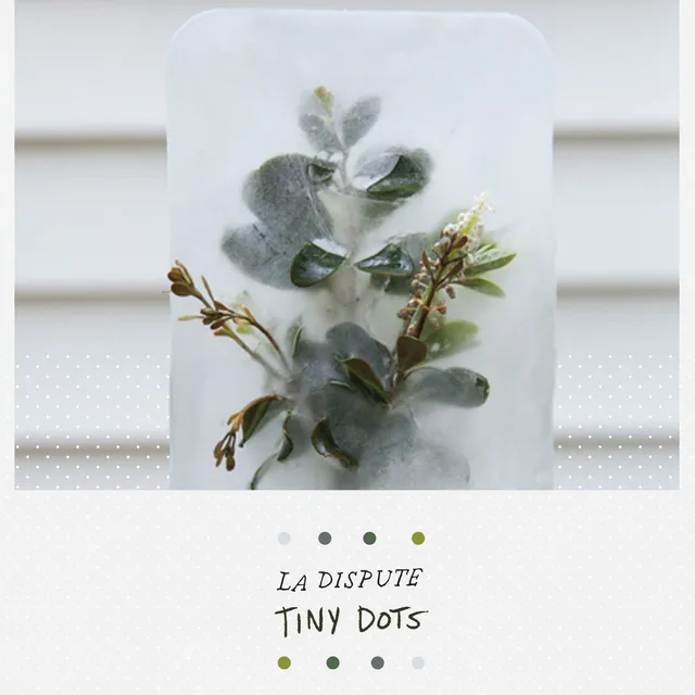la-dispute-tiny-dots-dvd-documentaire-multi-zone-digipak image 1