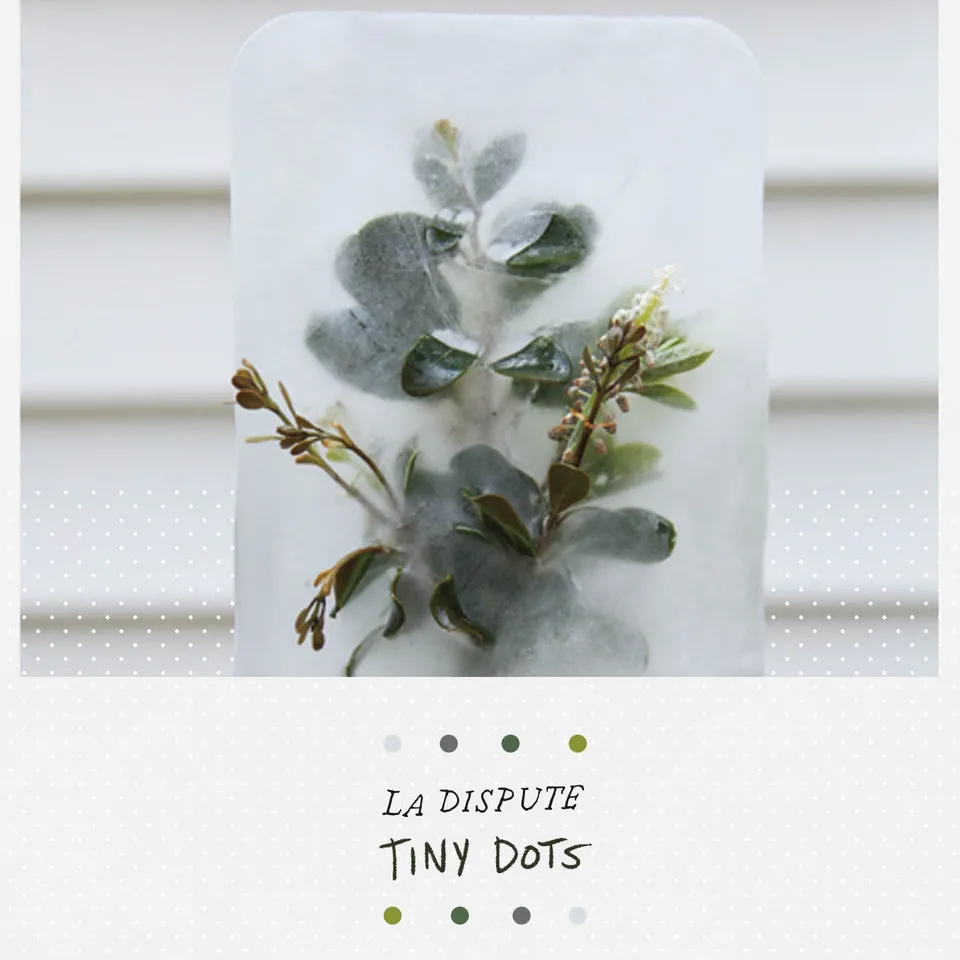 la-dispute-tiny-dots-dvd-documentaire-multi-zone-digipak image 1