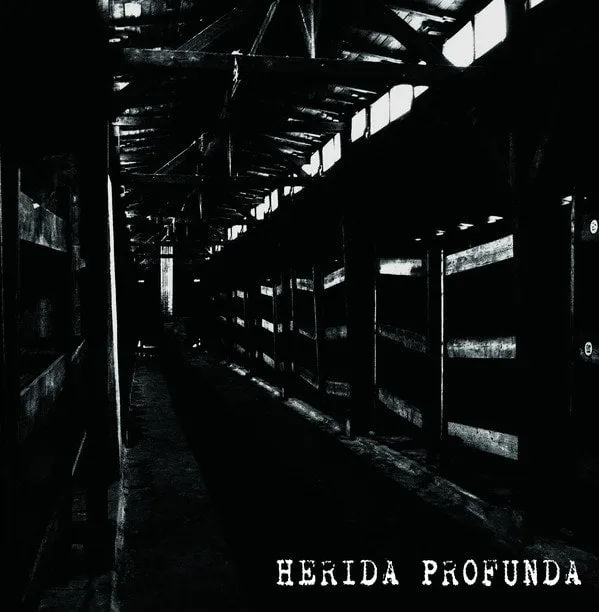 herida-profunda-s-t-cassette-noire-limit-e-75-ex image 1