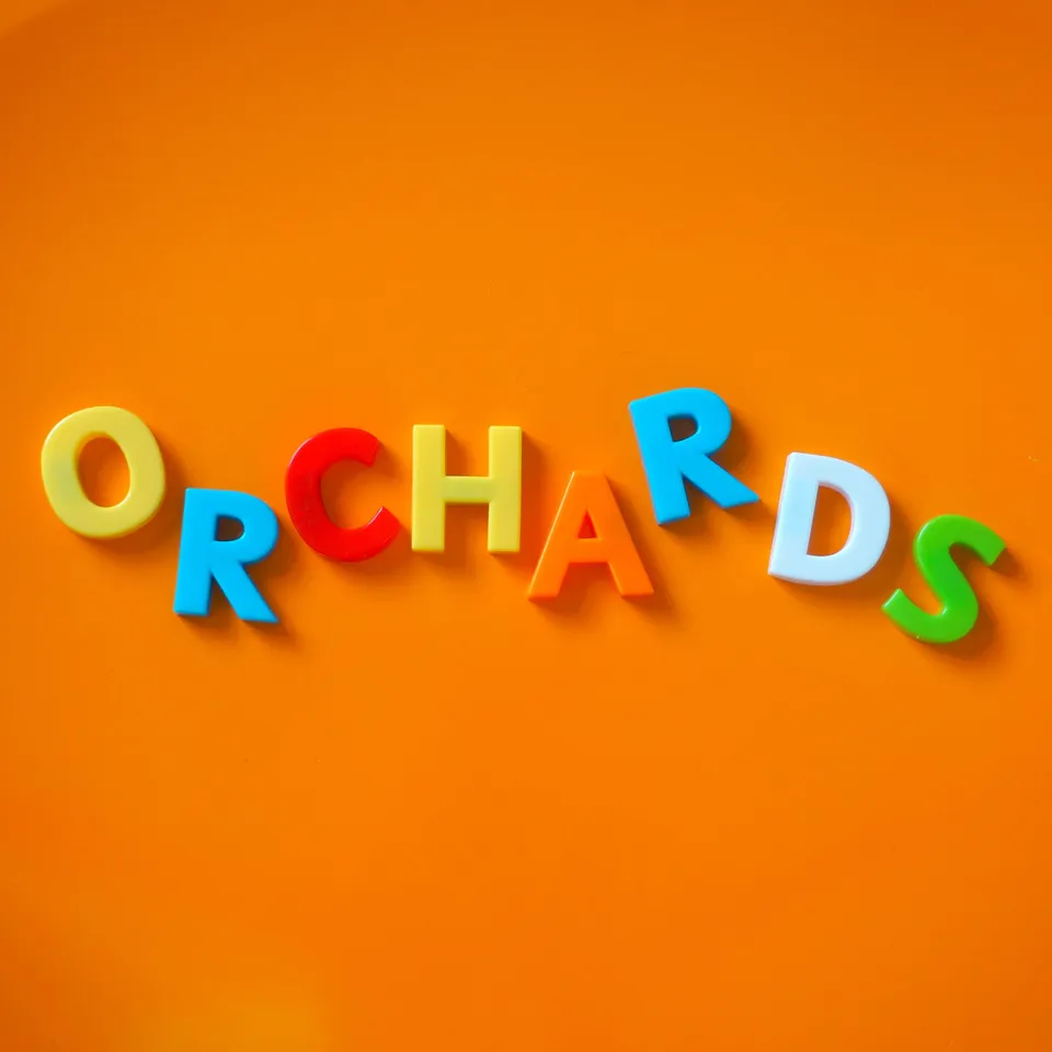big-scary-monsters-orchards-young-mature-me-vinyle-7-orange image 1