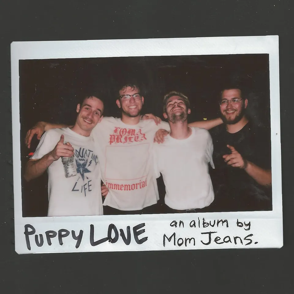 mom-jeans-puppy-love-vinyle-orange-12-emo-punk image 1