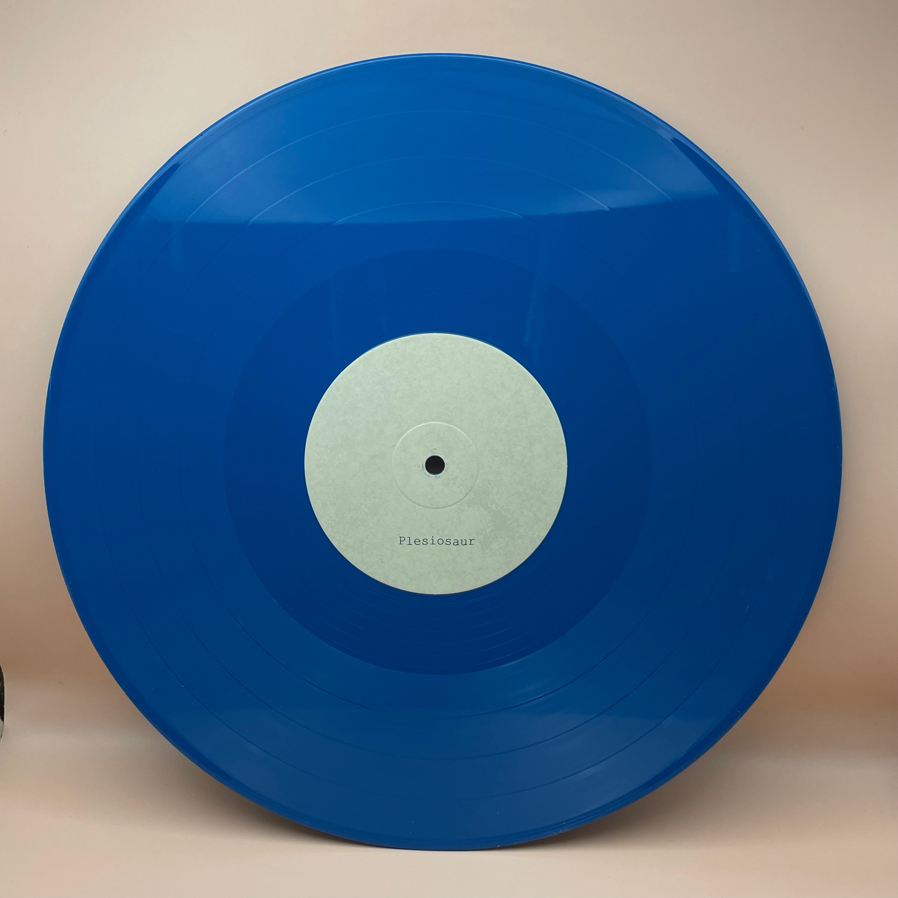 me-rex-pterodactyl-plesiosaur-vinyle-lp-bleu image 3
