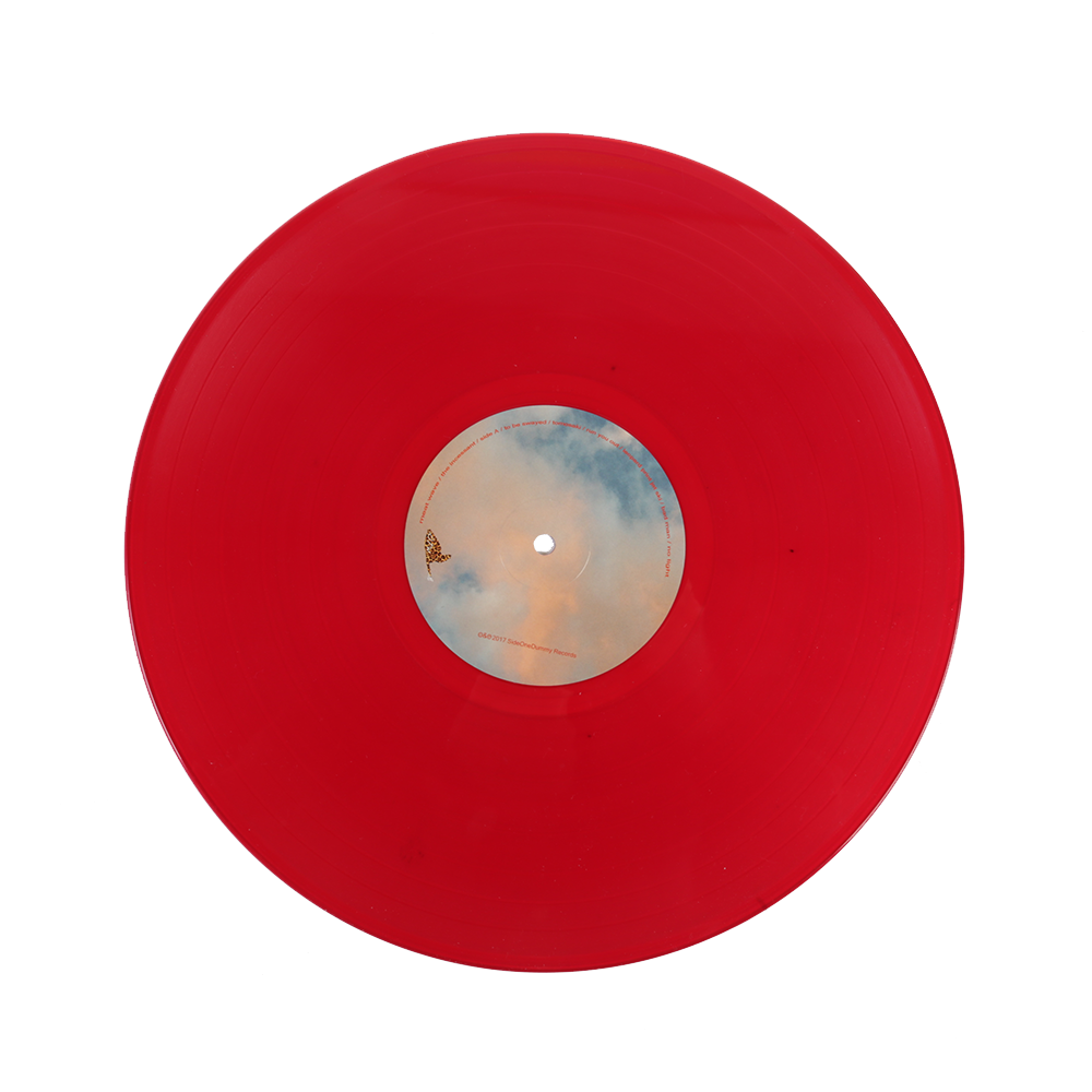 big-scary-monsters-meat-wave-the-incessant-vinyle-noir image 5