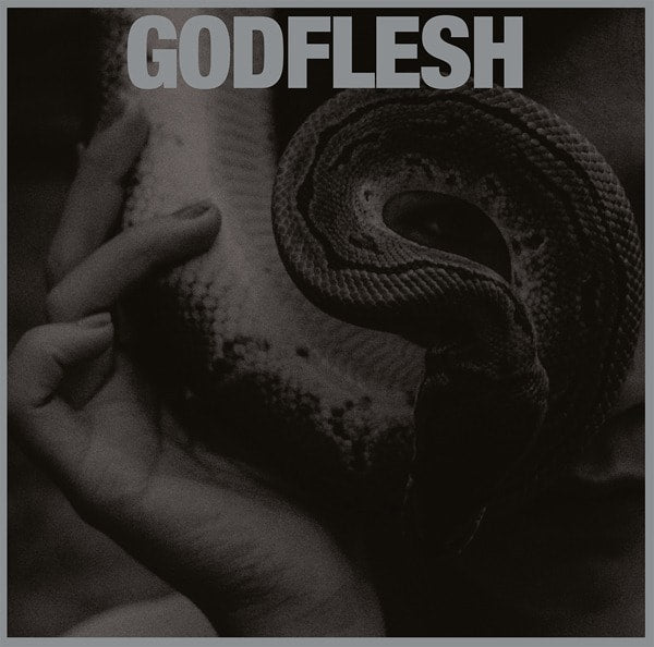godflesh-purge-lp-vinyle-industrial-metal image 1