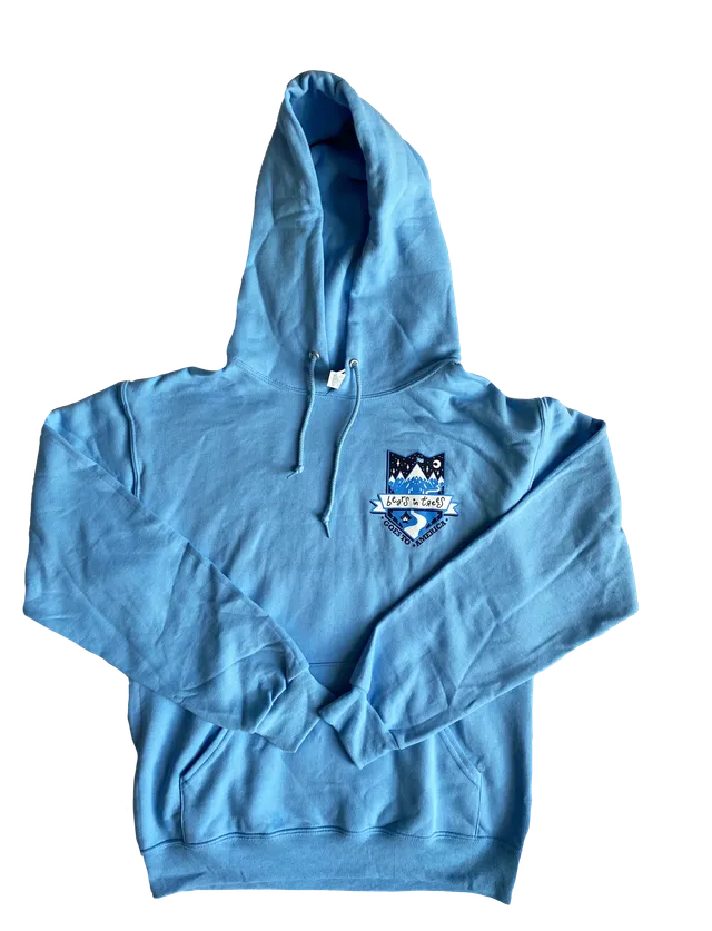 bears-in-trees-bears-in-america-hoodie-sweat-capuche image 1