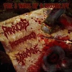 parricide-incarnated-reexamine-the-3-ways-of-a-brutality-cd-import-japon image 1