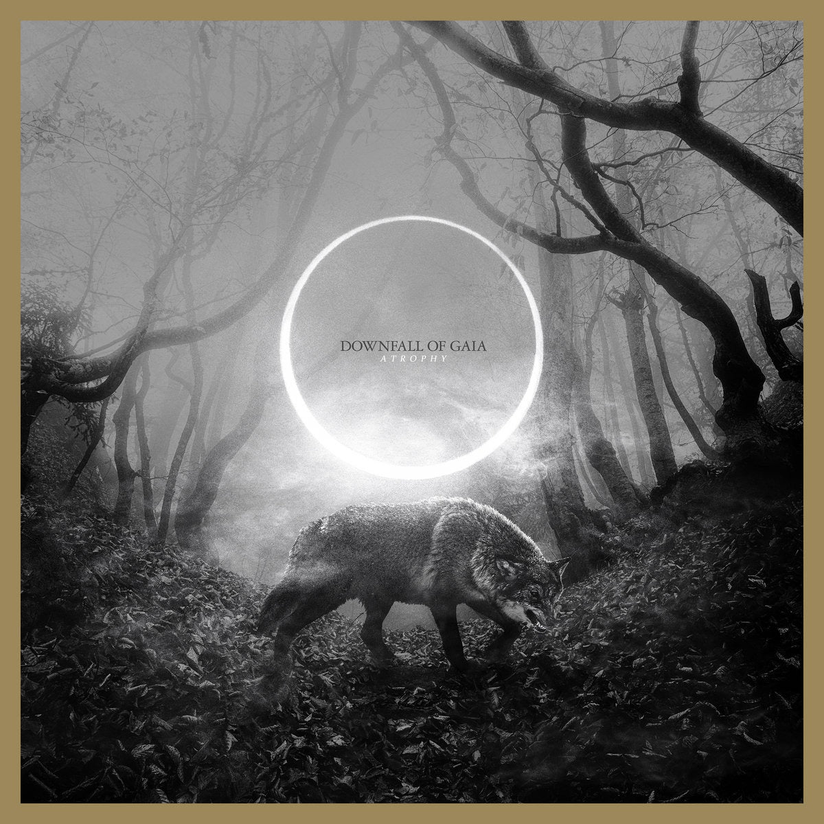 downfall-of-gaia-atrophy-vinyle-lp-marbr-jaune-num-rot image 1