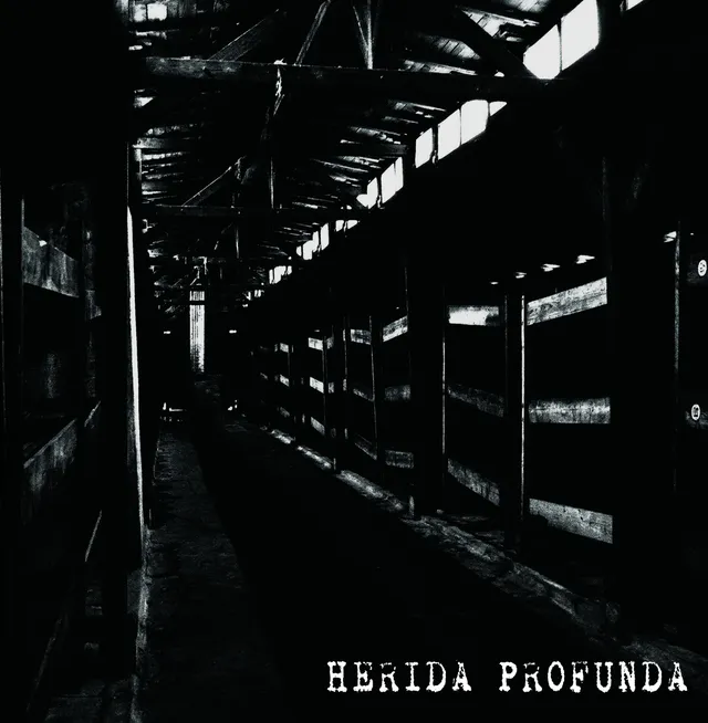 herida-profunda-s-t-lp-vinyle-noir-12-gatefold-grind-crust image 1