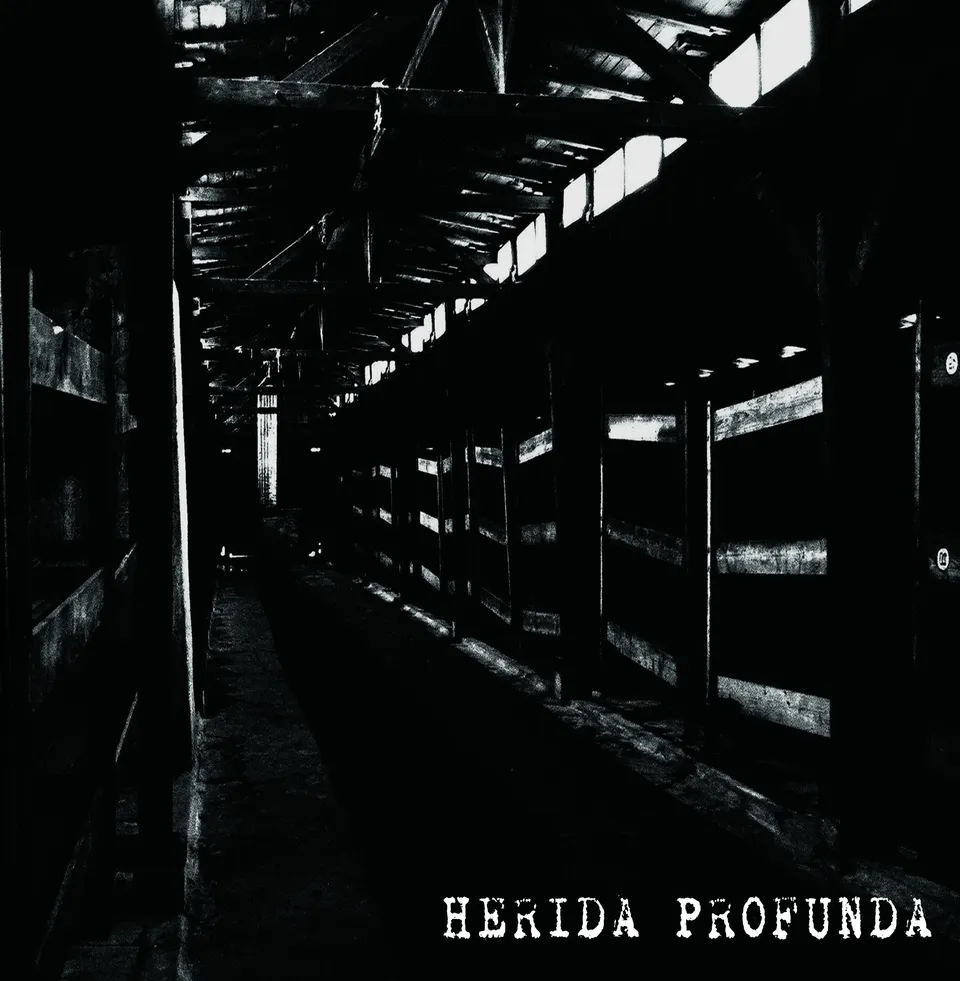 herida-profunda-s-t-lp-vinyle-noir-12-gatefold-grind-crust image 1