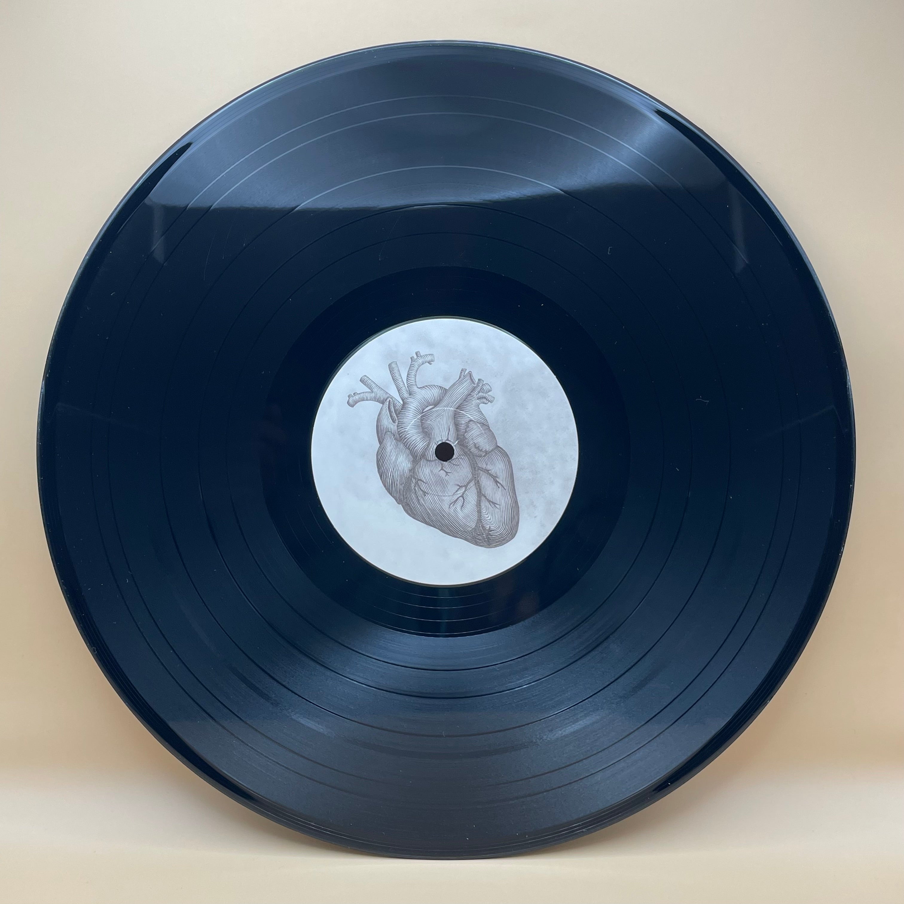 big-scary-monsters-jamie-lenman-muscle-memory-double-vinyle-2lp image 2