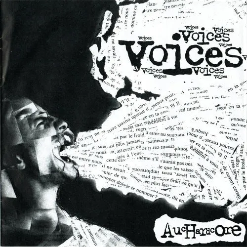 v-a-voices-auchardcore-double-7-ep-vinyle-punk image 1