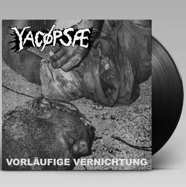 783punx-yac-psae-vorl-ufige-vernichtung-lp-vinyle-grindcore image 1