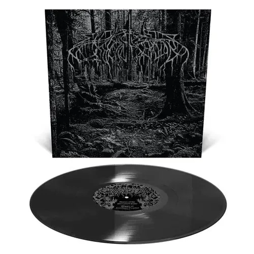 wolves-in-the-throne-room-2005-demo-lp-black-ice image 1