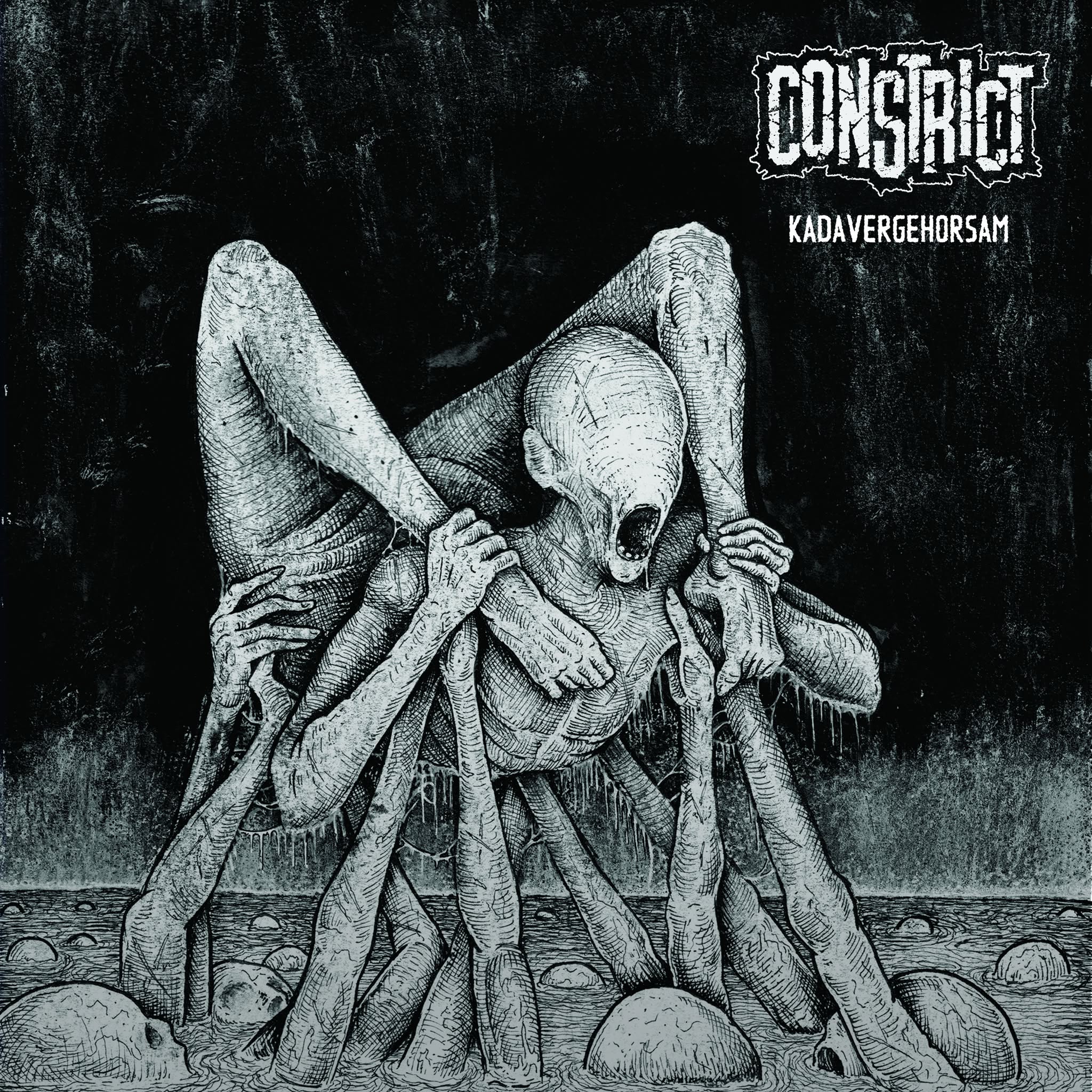 constrict-kadavergehorsam-12-vinyle-marbr-noir-blanc image 2