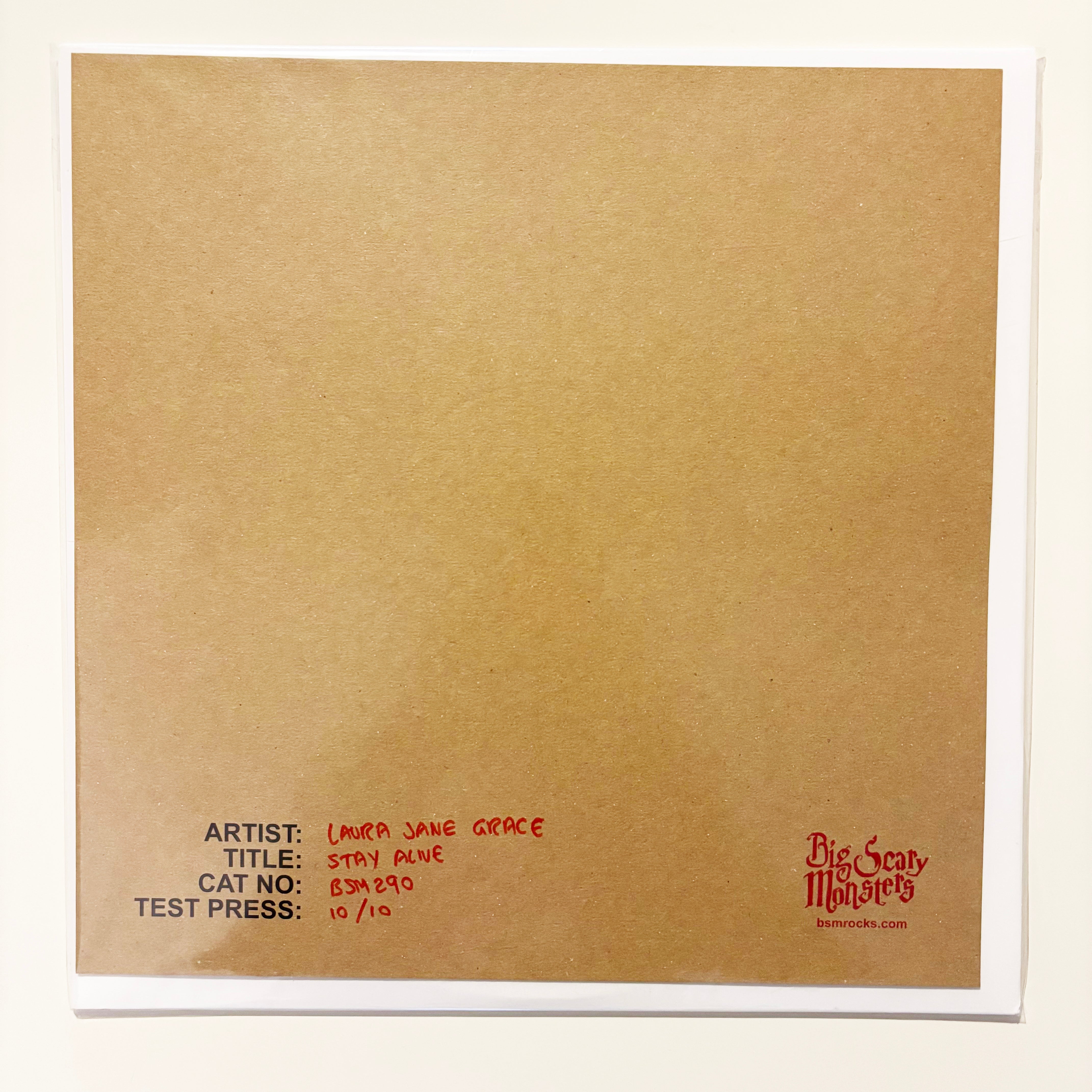 laura-jane-grace-stay-alive-cd-album-solo-analogique image 6