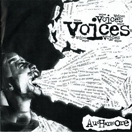 v-a-voices-auchardcore-double-7-ep-vinyle-punk image 1