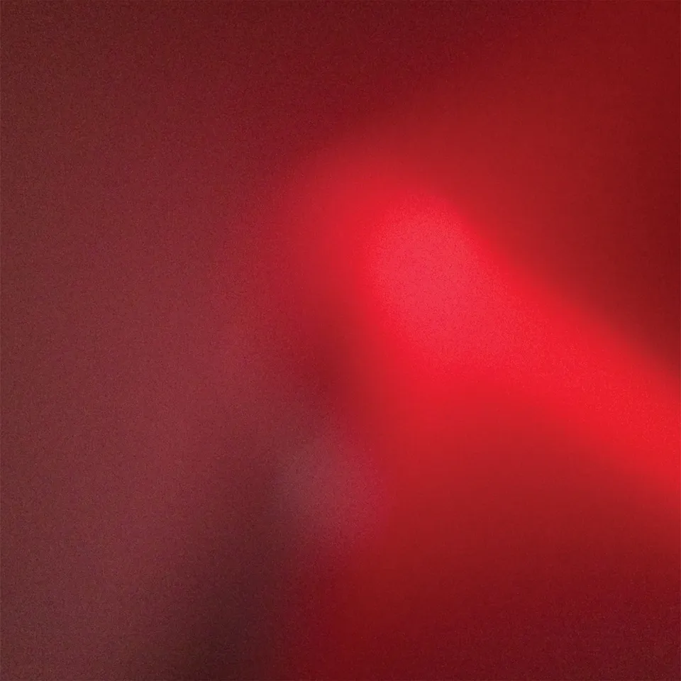 big-scary-monsters-meat-wave-the-incessant-vinyle-noir image 1