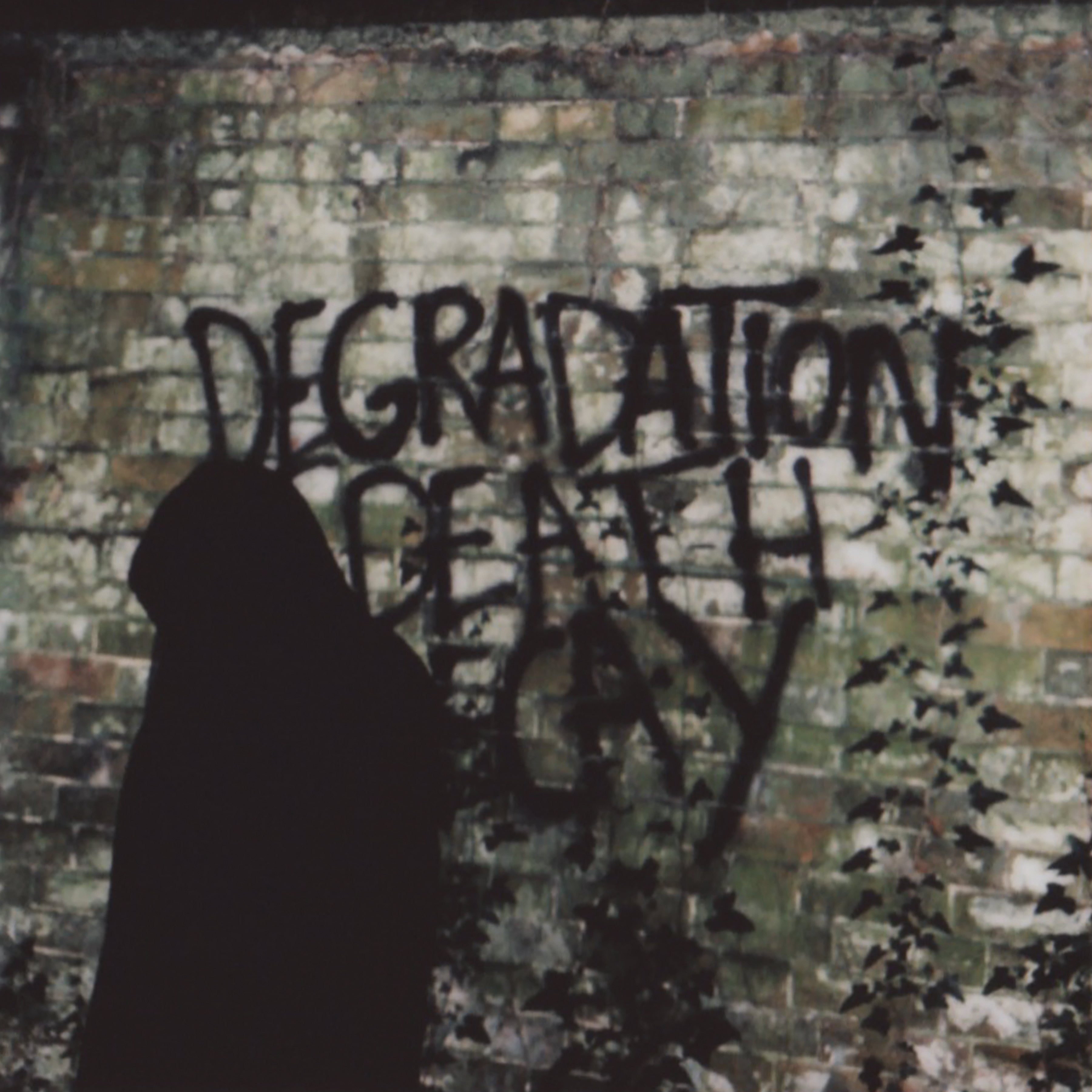 ian-miles-degradation-death-decay-vinyle-lp-noir image 1