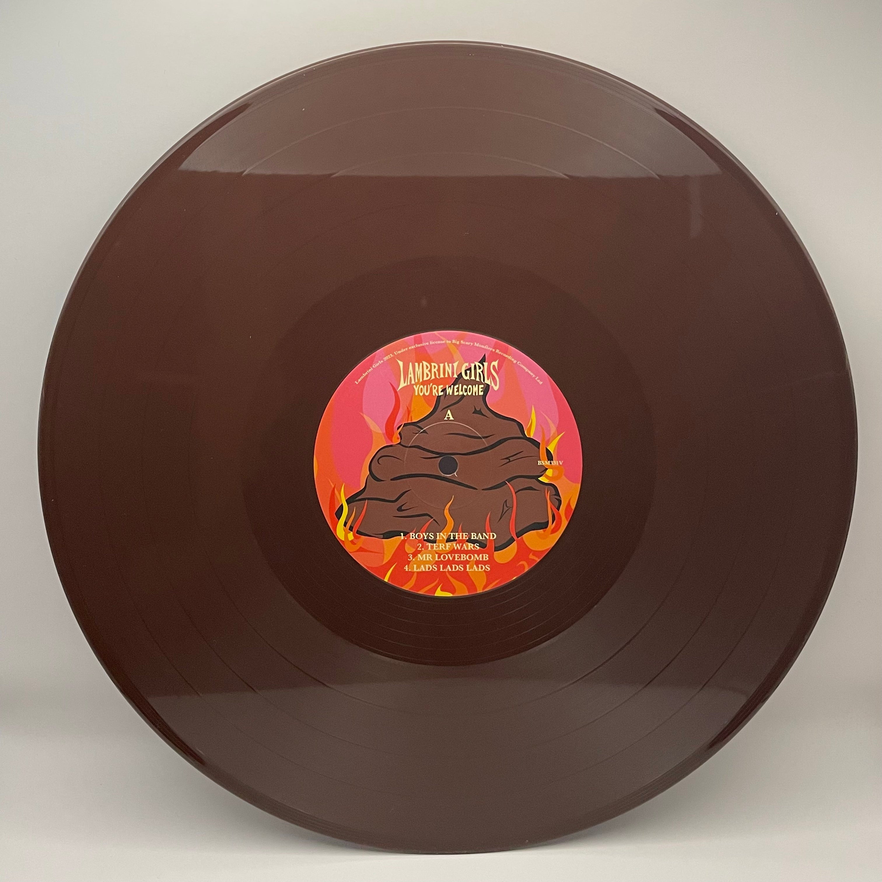 lambrini-girls-you-re-welcome-vinyle-eco-mix-lp-punk image 2