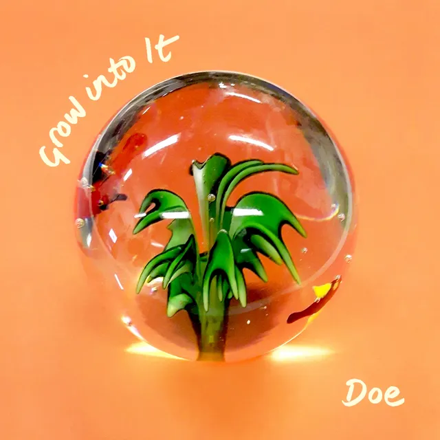 doe-grow-into-it-vinyle-lp-splatter-indie-rock image 1
