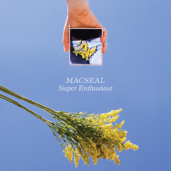 macseal-super-enthusiast-vinyle-beer-grape-splatter-lp image 1