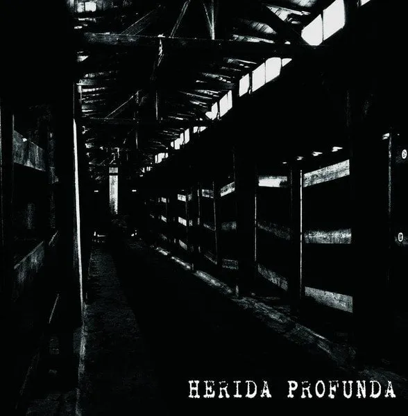 herida-profunda-s-t-cd-hardcore-crust image 1