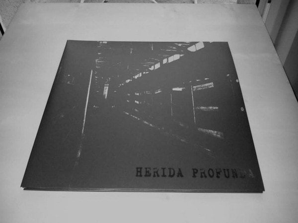 herida-profunda-s-t-lp-vinyle-noir-12-gatefold-grind-crust image 2