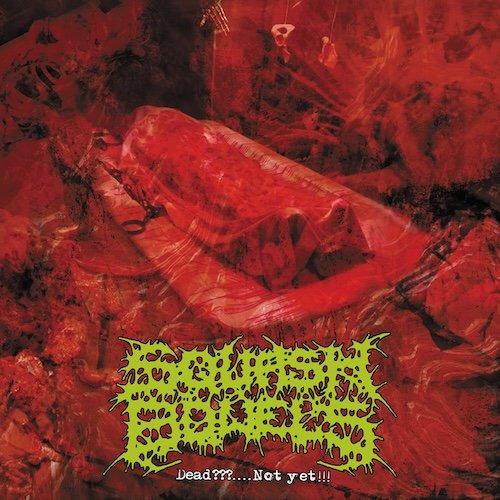 squash-bowels-dead-not-yet-cd-import-japon-grind image 1