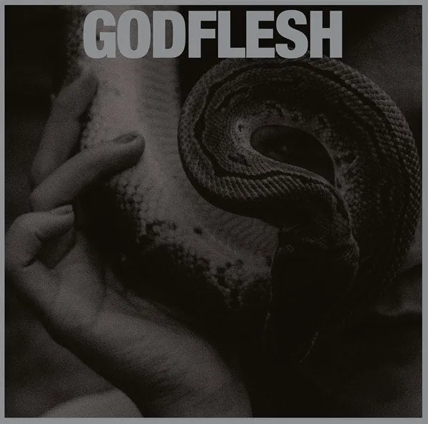 godflesh-purge-lp-vinyle-industrial-metal image 1