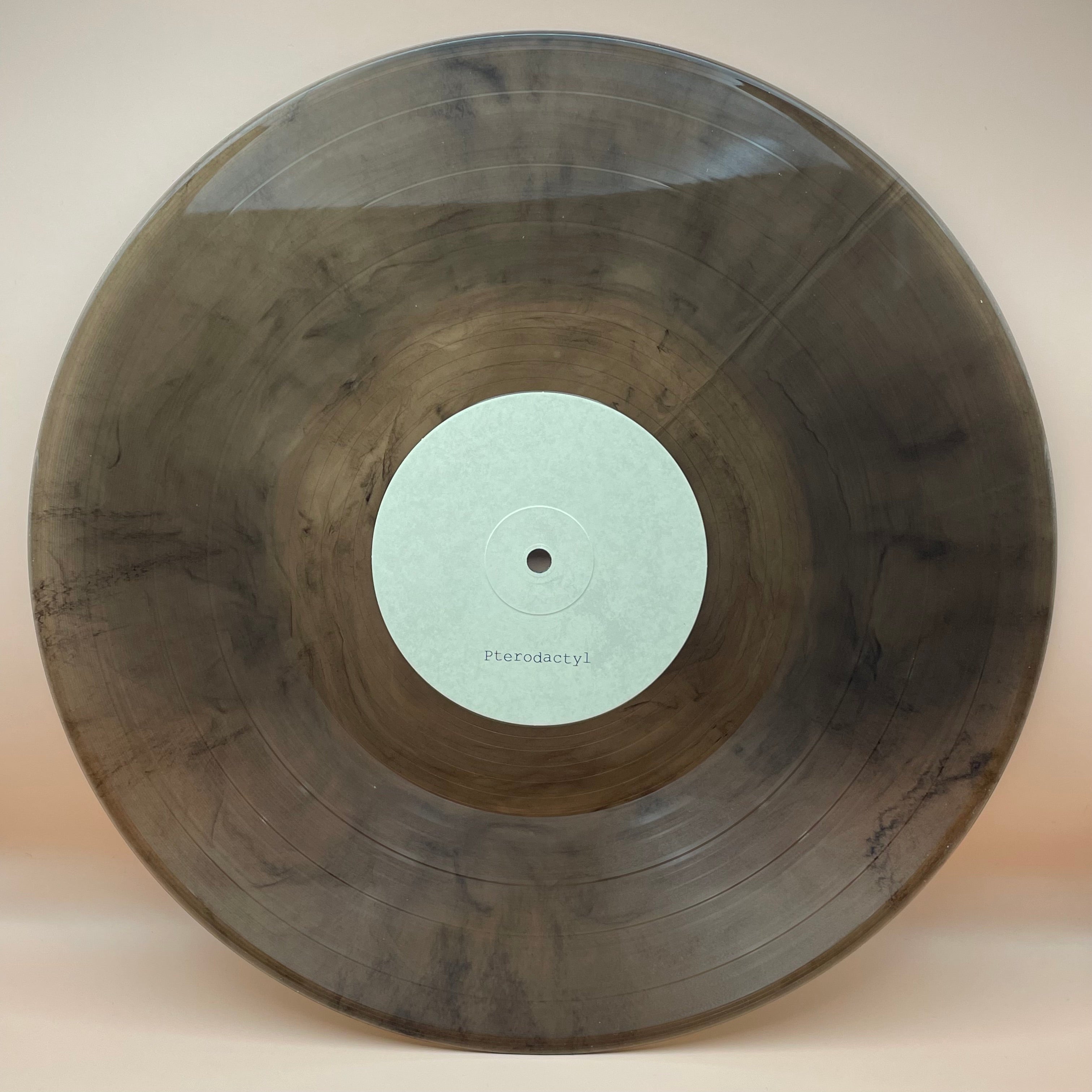 me-rex-pterodactyl-plesiosaur-vinyle-lp-bleu image 2