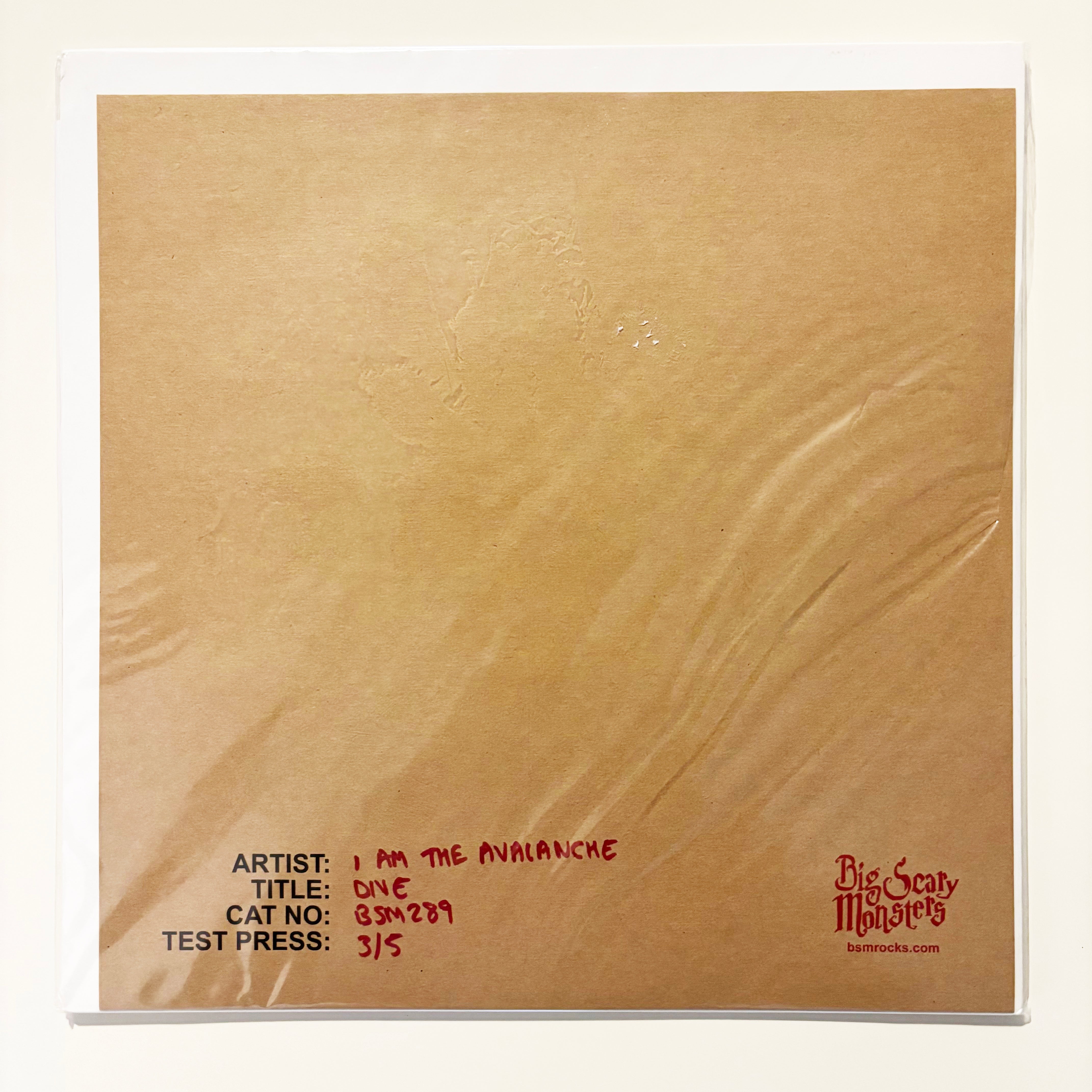 i-am-the-avalanche-dive-vinyle-noir-lp-punk-m-lo image 3