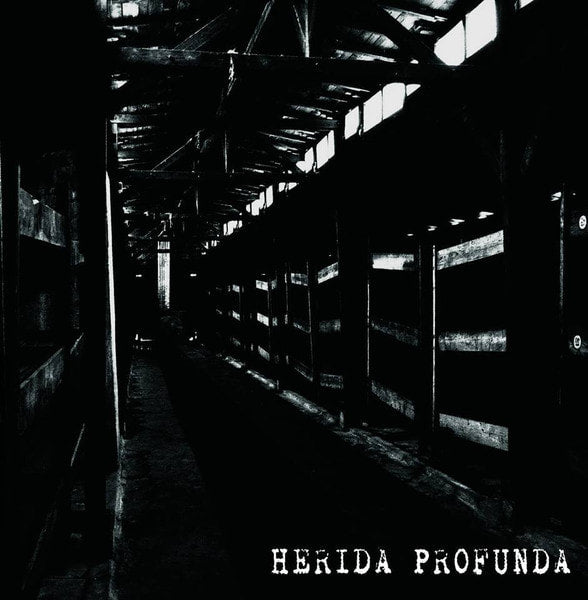 herida-profunda-s-t-cd-hardcore-crust image 1