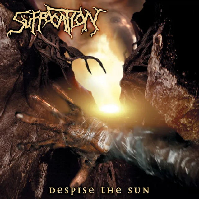 suffocation-despise-the-sun-vinyle-lp-brutal-death image 1