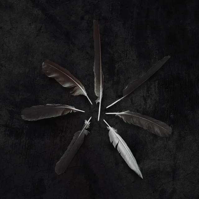 caspian-dust-and-disquiet-double-vinyle-noir-instrumental image 1