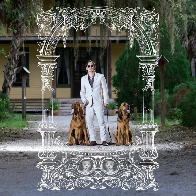 pet-symmetry-pets-hounds-vinyle-noir-12-indie-pop image 1