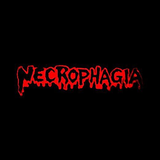 783punx-necrophagia-logo-pin-s-mail-nickel-mat image 5