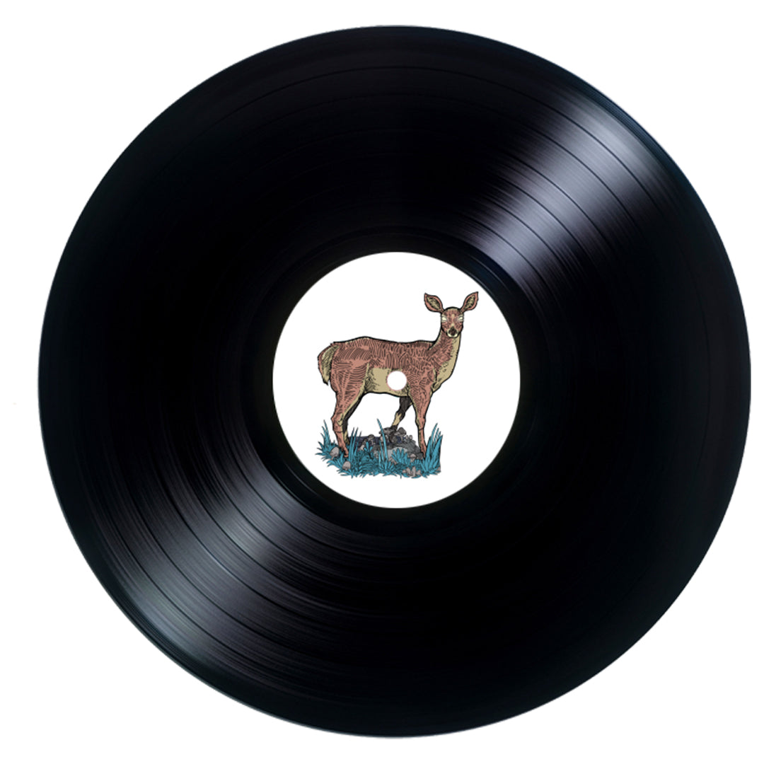 michael-cera-palin-we-could-be-brave-vinyle-splatter image 6