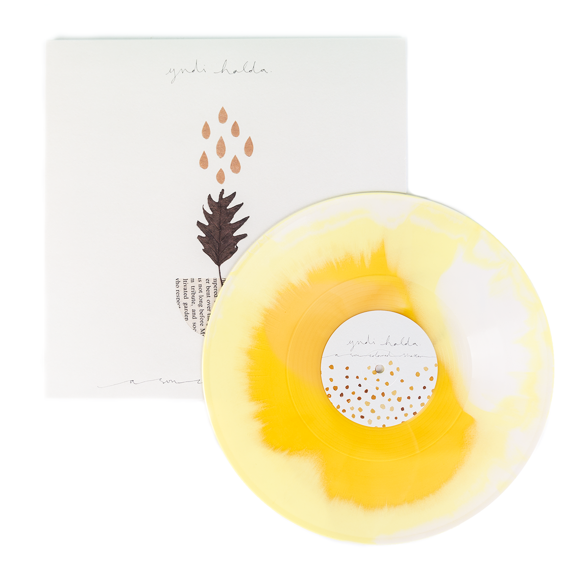 yndi-halda-a-sun-coloured-shaker-vinyle-noir image 2