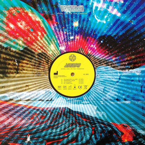 psudoku-parlamentarisk-sodomi-split-lp-vinyle image 1