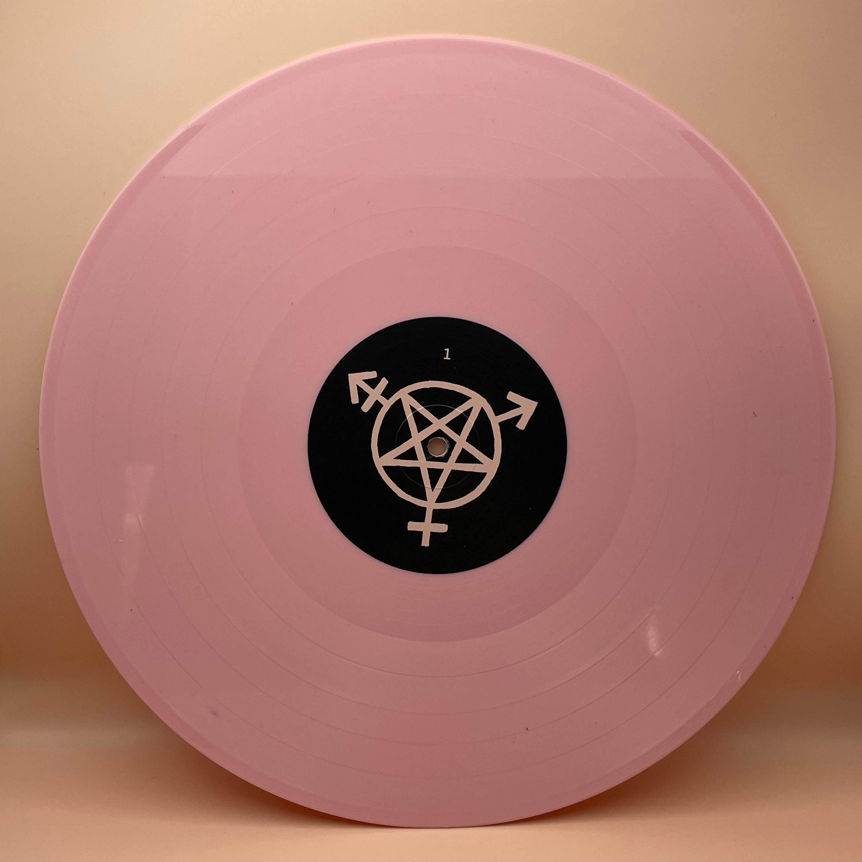 nervus-everything-dies-vinyle-lp-noir-punk-m-lodique image 2