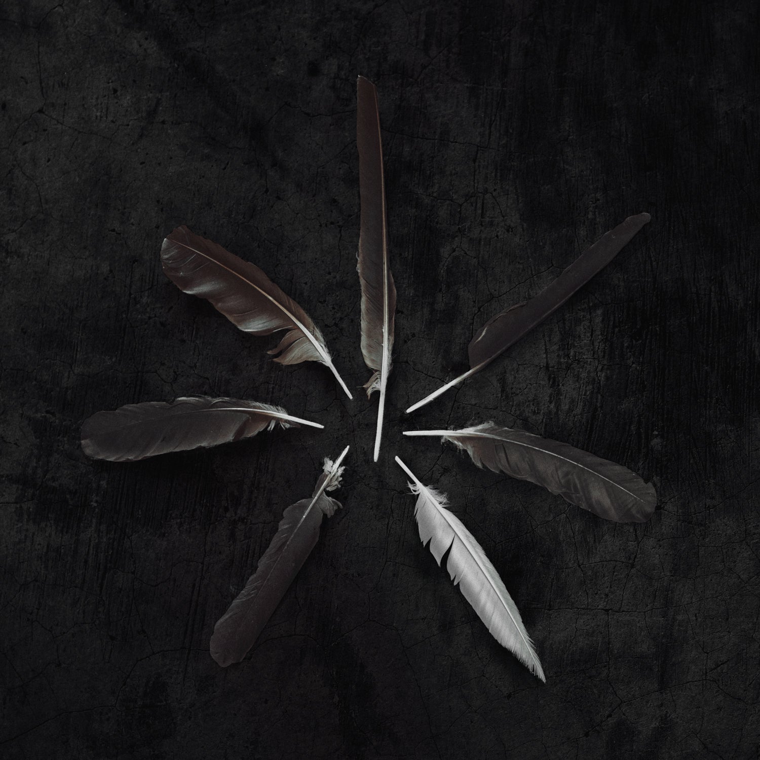 caspian-dust-and-disquiet-double-vinyle-noir-instrumental image 1