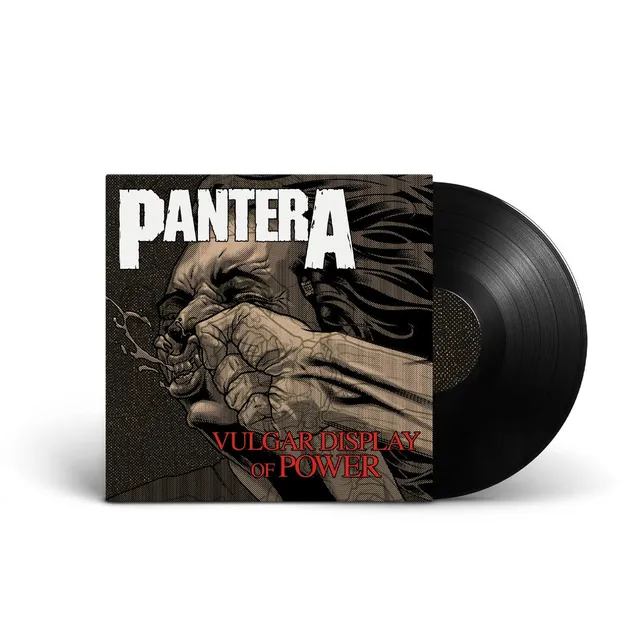 783punx-lp-s-pantera-vulgar-display-vinyle-cover-brian-ewing image 1